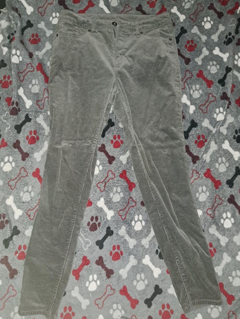 Slim Corduroy Pants in Gray